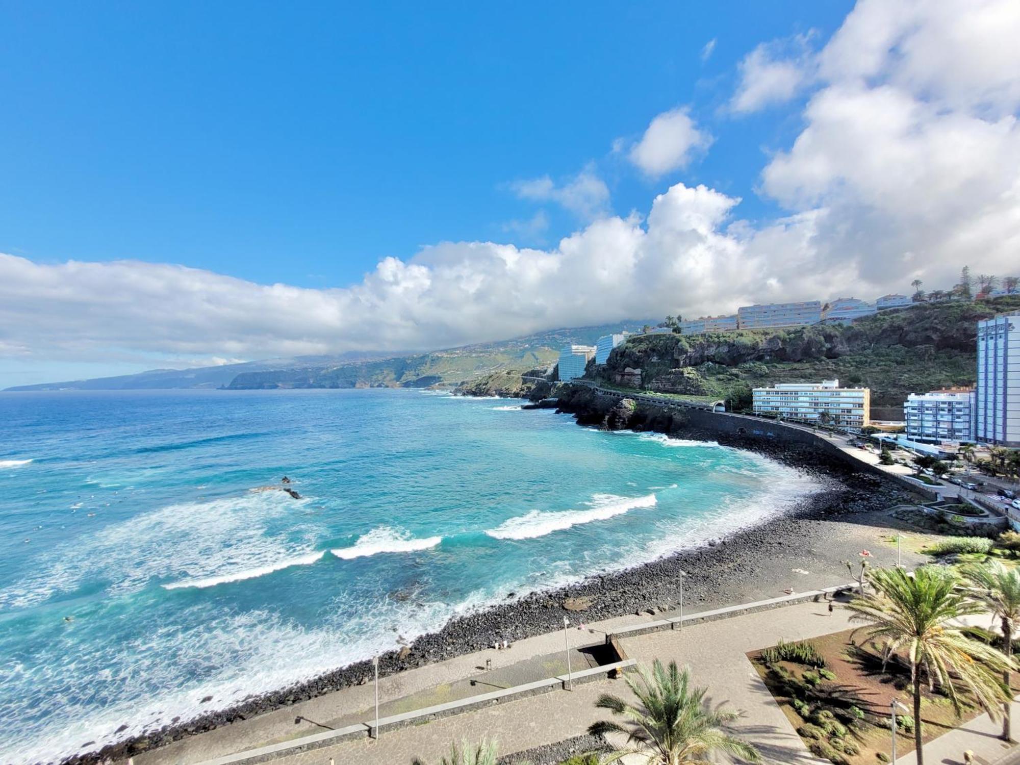 Palm Avenue - Adults Only - Leilighet