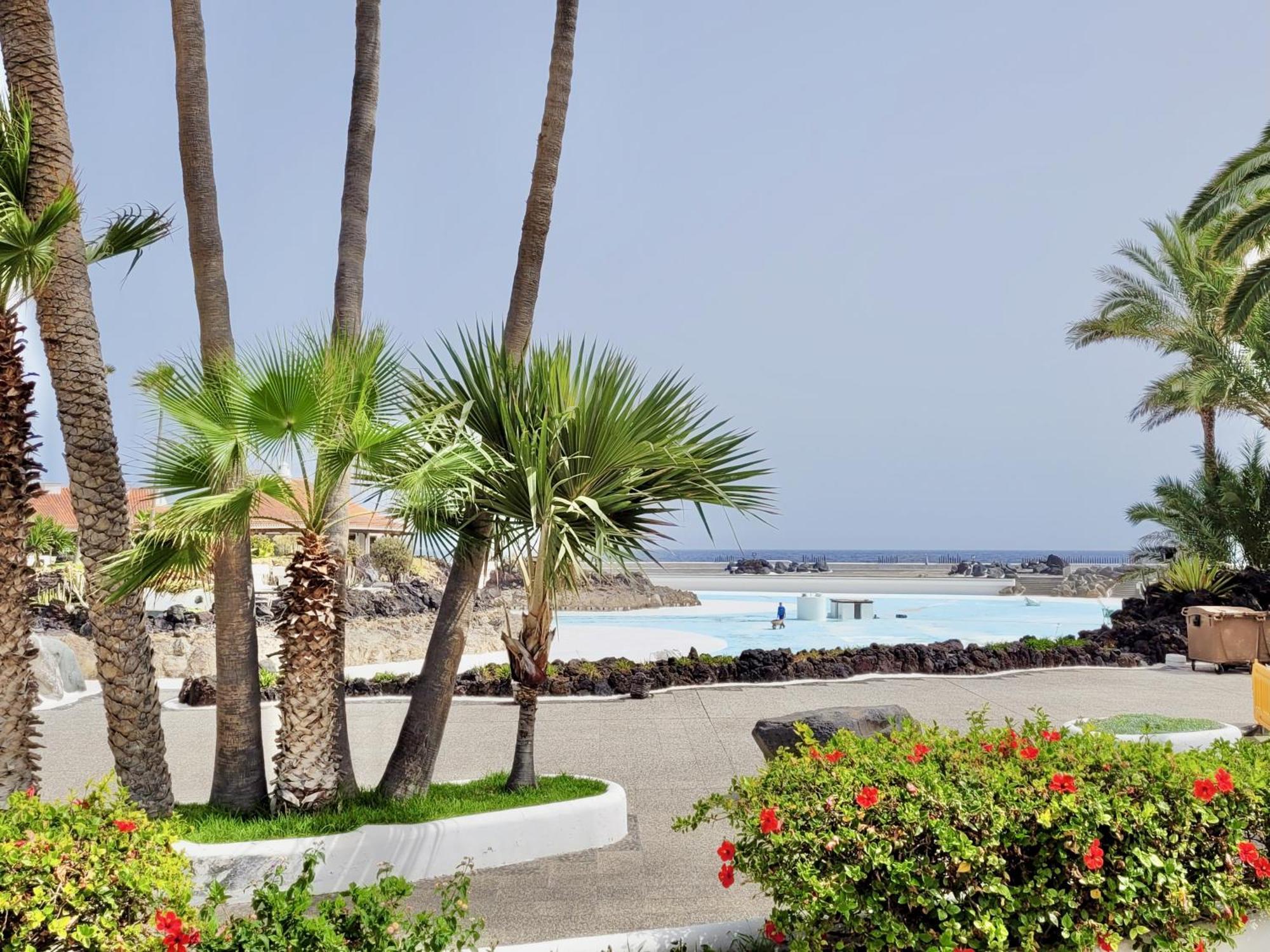 Leilighet Palm Avenue - Adults Only - Puerto de la Cruz (Tenerife)
