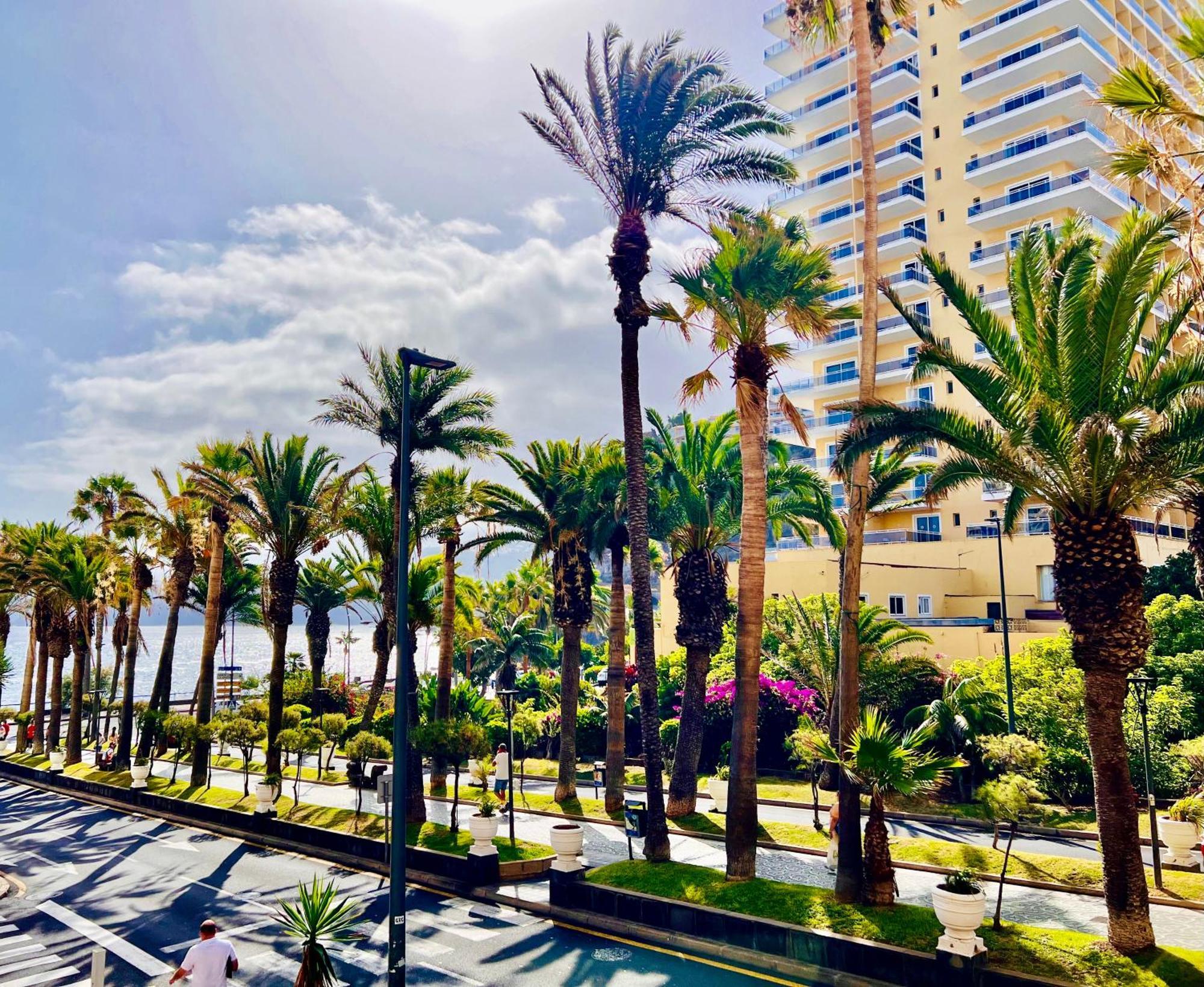 Leilighet Palm Avenue - Adults Only -